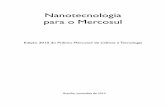 Nanotecnologia para o Mercosul