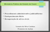 05 - Processo Administrativo Judicialiforme, Enriquecimento Ilícito e ...