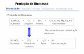 Produção de Biomassa