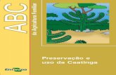Preservação e uso da Caatinga