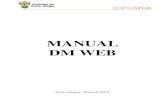 Manual DM WEB