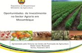 Oportunidades de Investimento no Sector Agrario em Mocambique