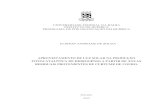 Dissertação de mestrado - Elisson Andrade de Souza.pdf