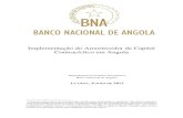 Implementação do Amortecedor de Capital Contracíclico em Angola