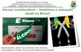 Álcool combustível – histórico e situação atual no Brasil
