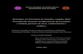 Tese de Doutoramento - Franco Mufinda.pdf