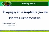 Aula 02   propagação e implantação de plantas ornamentais