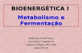 Bioenergética i   metabolismo e fermentação - aulas 29 e 30 (1)