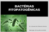 Bactérias fitopatogênicas