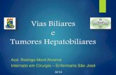 Apresentação Vias Biliares  - Rodrigo MontAlverne