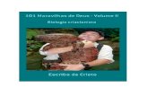 101 MARAVILHAS DE DEUS - VOLUME II