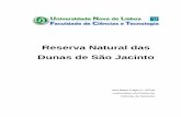 Reserva Natural das Dunas de São Jacinto