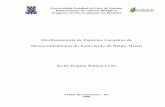 Morfoanatomia de Espécies Lacustres de Monocotiledôneas do ...
