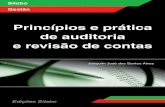 Princípios e prática de auditoria e revisão de contas