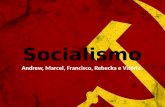 DIreito Socialista