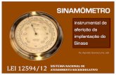 Sinamômetro: Instrumental de aferição da implantação do SINASE