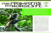 Agora o PAN Primatas do Nordeste (PAN PriNE) tem um informativo ...
