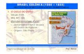 BRASIL COLÔNIA (1500 – 1822)