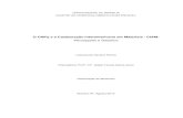 2014.10.13 Dissertação de Mestrado Leonara- versão final.d-205