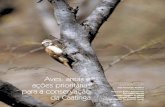 Aves: áreas e ações prioritárias para a conservação da Caatinga