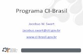 Atividades e Resultados do Programa CI-Brasil