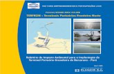 Relatório de Impacto Ambiental para a Implantação do Terminal ...