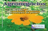 Revista Attalea® Agronegócios - Agos 2009 -