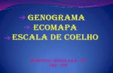 GENOGRAMA ECOMAPA ESCALA DE COELHO