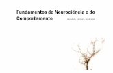 Fundamentos de Neurociência e do Comportamento