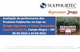 4 - 2016-03-23 - Agromen - Milho - Faz. Santa Fe - Pivo 1 - A4