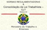 CLT - Consolidação das Leis Trabalhistas - Módulo 02 - NR 01