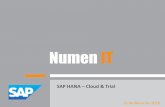 NUMEN IT_SAP_HANA_Cloud