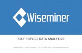 Wiseminer Self-Service Data Analytics