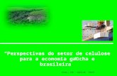 Perspectivas do setor de celulose para a economia gaúcha e brasileira - Walter Lídio Nunes