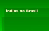 íNdios no brasil i
