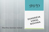 Diarreia viral bovina