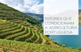 2 fatores que condicionam a agricultura portuguesa