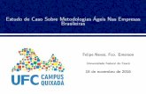 Estudo de Caso Sobre Metodologias Ágeis Nas Empresas Brasileiras