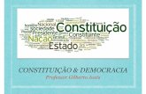 Constituição & Democracia