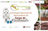S1.pm3 Estrategia Nacional de Cacao en Guatemala