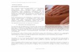 Excerto do manual de Massagem dos Tecidos Profundos
