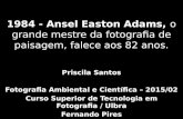 1984 - Ansel Easton Adams