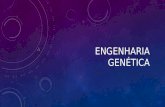 2016 Frente 1 modulo 13 Engenharia genética
