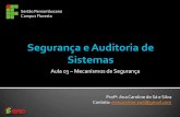 Segurança e Auditoria de Sistemas - Aula 03