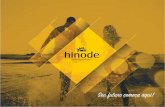 Apresentação plano de Negócios 2016 Hinode