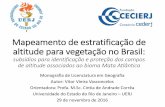 Mapeamento de estratificação de altitude para vegetação no Brasil: subsídios para identificação e proteção dos campos de altitude associados ao bioma Mata Atlântica