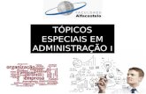 Tópicos Especiais em Administração I _ Alfacastelo _ Moisés Bagagi