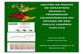 GESTÃO DE RISCOS DE DESASTRES DEVIDO A FENÔMENOS GEODINÂMICOS NO ESTADO DE SÃO PAULO: CENÁRIO 2000-2015