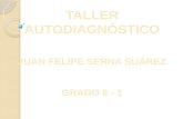 Taller autodiagnóstico 8°1