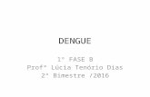 Dengue   1ª fase B